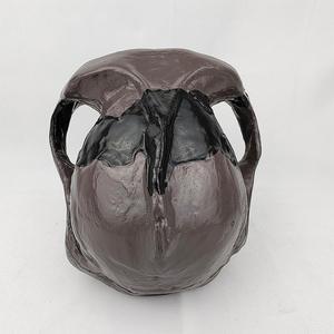 Modelo de Enseñanza de Cráneo de Australopithecus Boisei a Tamaño Real - Anatomía de <span class=keywords><strong>la</strong></span> Evolución Humana para Educación en Antropología y Biología - Product Image 3