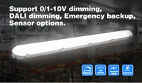 Lampu LED 40W Tri-Proof Eco Alpha Vapor Tight Light dengan Efisiensi Tinggi 120lm/w, Housing PC, Tahan Air IP65 untuk Penggunaan Gudang, Garansi 5 Tahun