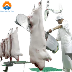 Machine à fendre les carcasses de porcs pour abattoir, scie à ruban pour la <span class=keywords><strong>d</strong></span>écoupe en deux des carcasses de porcs, équipement <span class=keywords><strong>d</strong></span>'abattoir - Product Image 5