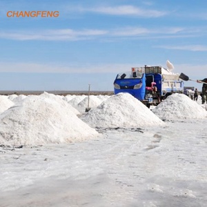 ASTM GM 13 بطانة تربية الأحياء المائية الممتازة مقاومة للماء غشاء أرضحي ملحي HDPE ملح البحر لبطانة بركة الملح - Product Image 5