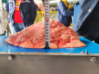 Machine de découpe de viande de poulet boeuf électrique automatique à usage multifonctionnel