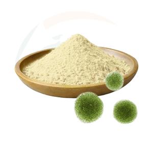 Bubuk Minyak Alga <span class=keywords><strong>DHA</strong></span> Vegan Murni China-Herb, Bahan Baku Omega-3 Berkualitas Tinggi untuk Formulasi Nutraceutical & Makanan Bayi - Product Image 1