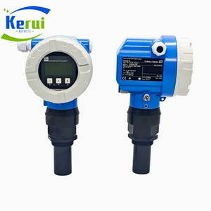 Capteur de niveau ultrasonique Endress+Hauser Prosonic FMU44/FMU40/FMU42 de haute qualité pour solides en vrac - Product Image 6