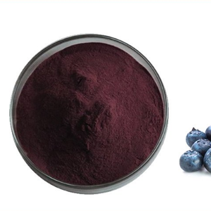 Ekstrak makanan Blueberry alami makanan antosianin bubuk Blueberry yang diasah liar minuman padat suplemen Vitamin cair botol yang dibungkus - Product Image 6