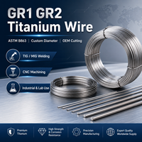 Fil de titane GR1 GR2 ASTM B863 pour soudage TIG MIG, usinage CNC, laboratoire industriel, découpe sur mesure, OEM