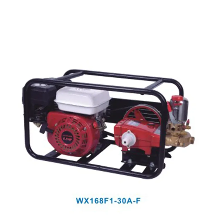 Nông nghiệp điện phun Set với động cơ xăng 6.5HP