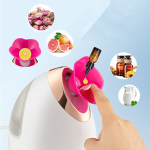 IFINE-equipo de belleza para el cuidado de la piel, vaporizador Facial de aromaterapia para el cuidado Facial, Nano iónico, vapor caliente, humedad profunda, Vapozone - Product Image 3
