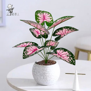 Planta <span class=keywords><strong>Artificial</strong></span> Decorativa de Plástico Verde, Colorida, en Maceta, para Interiores/Exteriores, Alta Simulación, Navidad, Pascua, Sala de Estar - Product Image 4