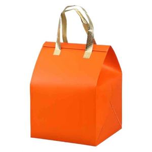 Non-Woven Insulated Aluminum Foil Takeaway Cooler Bag for Cooler Bag Insulated Insulated Non-woven Bag - Product Image 1