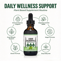 Vente en gros de gouttes de chlorophylle liquide en vrac, saveur personnalisée, végétalien, sans OGM, à base de plantes, supplément d'extrait de chlorophylle liquide