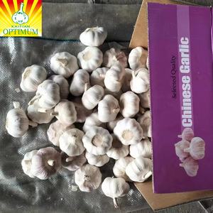 Aglio fresco cinese nuovo raccolto fornitura di ail come aglio normale bianco e bianco puro alho ajo dal produttore all'ingrosso di aglio - Product Image 5
