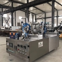 Petite machine de remplissage de cartons à toit en pente, manuelle, électrique, à haute productivité, pour l'alimentation et les produits chimiques, garantie 1 an
