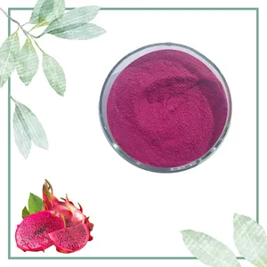 Natural Red Dragon Fruit Powder Freeze Dried Pink Pitaya Powder Red Pitaya Powder