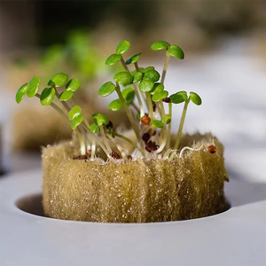 مكعبات صوف صخري عالية الكثافة للزراعة المائية، 3×3×4 سم، لزراعة الشتلات - Product Image 4