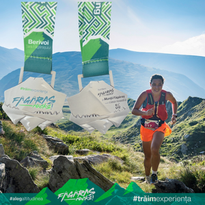 Médailles de course personnalisées en argent antique, thème Fagaras Ronghii Roumanie, médailles 3D pour l'alpinisme, la marche, la randonnée et le cyclisme - Product Image 4