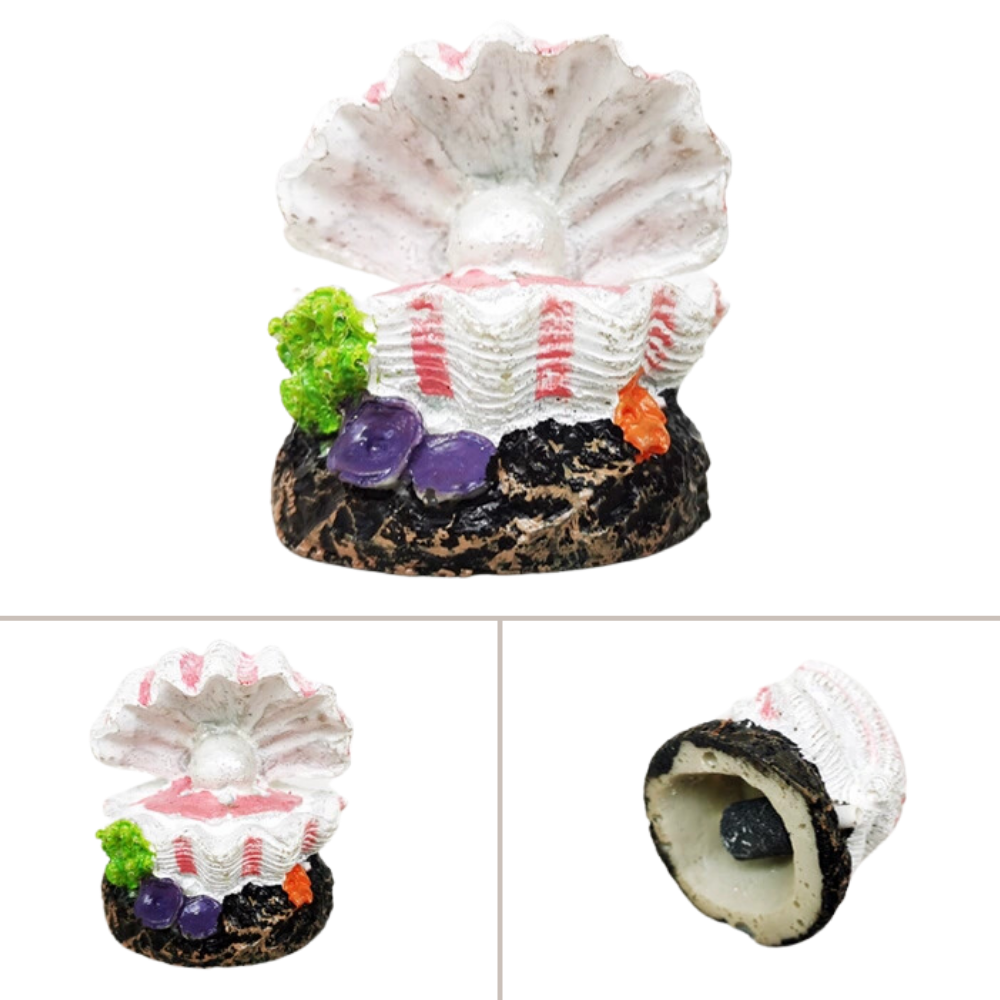 Shell - About 6.5*6*6.5cm