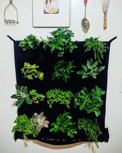 12-Bolsillo jardín <span class=keywords><strong>Vertical</strong></span> plantador de bolsillo de montaje <span class=keywords><strong>en</strong></span> <span class=keywords><strong>pared</strong></span> creciente bolsa - Product Image 5