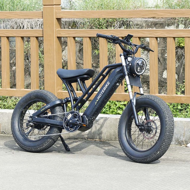 Factory Electric Bike 1000w 750w 500w Rear Motor Electronic Bike 48v Fat Tire E Bikes for Sale 20 Inch Electric Bicycle