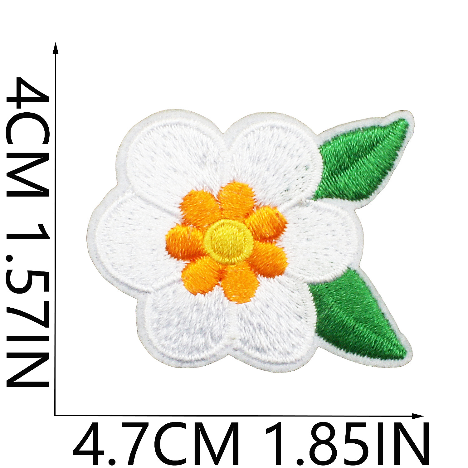 Blanc5
