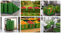 Sunshine Bac de rangement rectangulaire en plastique ajouré haute résistance pour fruits et légumes, type caisse, pour roses, baies et raisins