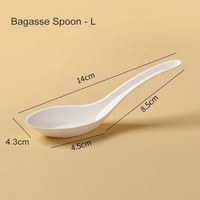 Cuillère jetable en bagasse de canne à sucre blanche, biodégradable et compostable, pour soupes et desserts