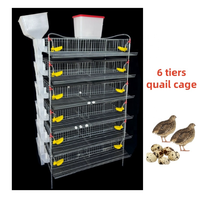 Cage à cailles de type H à alimentation et abreuvement automatiques pour l'élevage de volailles en ferme avicole avec acier galvanisé durable