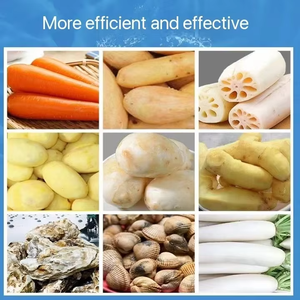 เครื่องปอกผลไม้ไฟฟ้าเครื่องปอกผักรากลูกกลิ้งสำหรับล้างรากดอกบัวแครอทหัวไชเท้าปอกเปลือกขิง - Product Image 6