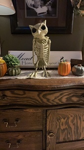 Cảnh Halloween được trang trí với mô phỏng bộ xương động vật đáng sợ Mô Hình Bộ Xương kích thước đầy đủ của một con cú - Product Image 6