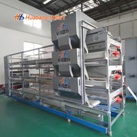 Système d'abreuvement automatique, conception modulaire multi-niveaux, cage à poulets de type H de taille personnalisée pour l'élevage de volailles