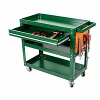 Armoire à roulettes personnalisable avec serrure à clé, capacité de charge de 300 kg, garantie de 3 ans, hauteur réglable, 1 tiroir, poignée de poussée, outil
