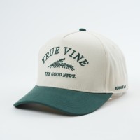 Gorra de Béisbol Estructurada de 5 Paneles Personalizada con Logotipo Bordado