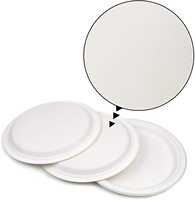 Plaques en papier jetables 100% écologiques, assiettes de bavette à usage unique, écologiques en fibre de sucre