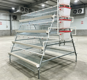 Jaula automática de 4 niveles para 30.000 gallinas ponedoras tipo batería para granja avícola - Product Image 1