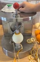 Mesin Pengupas Kulit Jeruk Mini untuk Meja Dapur, Komersial, Elektrik, Penghilang Kulit Buah untuk Pabrik Jus Buah