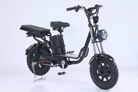 Vélo électrique à assistance électrique russe de 16 pouces Princess Yilan, vélo électrique antidérapant, vélo électrique léger pour adultes, vélo électrique au lithium