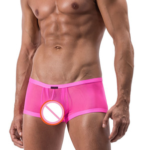 2023 gran oferta, Calzoncillos Bóxer transparentes sexis transpirables para hombres homosexuales, diseño de micromesh visible - Product Image 5