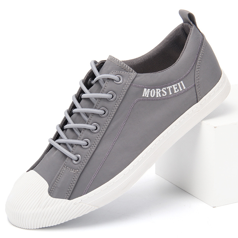 22328 gris