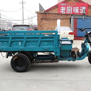 Tricycle électrique cargo à 3 roues, chinois, 1000W, en acier, véhicule électrique agricole, certificat EEC pour le transport de marchandises - Product Image 6