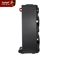 Top Promotion d'usine Tendances Double 10 pouces grands haut-parleurs audio Déflecteurs sans fil en bois Studio Système de musique professionnel