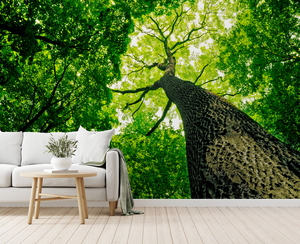<span class=keywords><strong>Carta</strong></span> <span class=keywords><strong>da</strong></span> <span class=keywords><strong>parati</strong></span> in vinile personalizzato <span class=keywords><strong>con</strong></span> motivo floreale indicatore di tendenza cercando grande struttura ad albero impermeabile per la grande visione dello spazio pubblico - Product Image 1