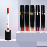 Gloss à lèvres mat longue tenue, gloss à lèvres sexy, label privé, rouge à lèvres liquide brillant, maquillage en gros