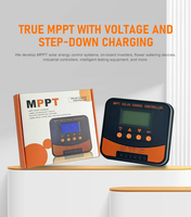 Contrôleur de charge solaire MPPT Régulateur double écran LCD USB 10A 20A 30A 40A 12V/24V Système d'éclairage automatique