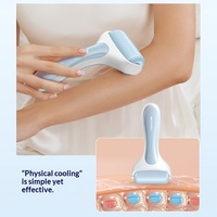 Appareil de massage facial à rouleaux de glace silencieux PE, modèle R1 transfrontalier de Shenzhen, pour compresses froides