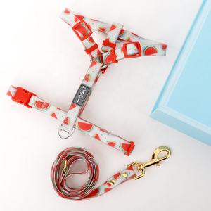 Pas de traction h Type personnalisé Agitation étanche Bio Pvc chien harnais laisse ensemble mignon Service robuste personnalisé chien harnais - Product Image 1