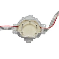 RGB IP67 Impermeable LED Pixel Light Nuevas luces de punto al aire libre RGBW Emisión Plástico rojo para el paisaje del parque temático del Recinto Ferial