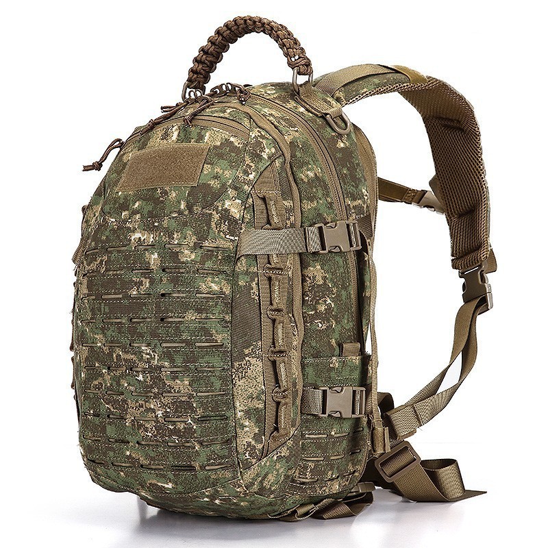Camouflage du désert