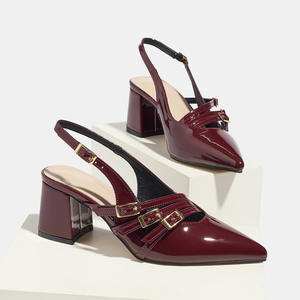 Chaussures Xuanhui grande taille, nouveau modèle, rétro, bout pointu, talon carré de 6 cm, escarpins à bride, talons épais pour femmes - Product Image 1