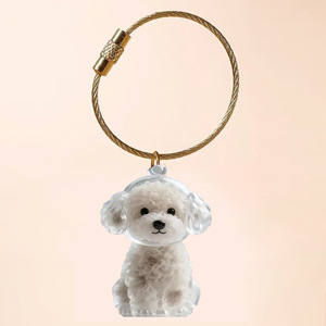 Dog Cat Hair Storage Box Hair Grooming DIY Handmade Pet Hair Keychain Fur Puppy Collector Container Pendant Jewelry Keyring Gift