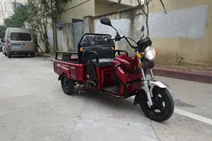 Scooters électriques à 3 roues EEC 60V pour adultes tricycle avec trois roues pour adultes