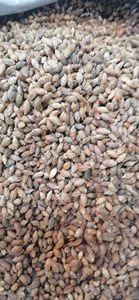 Frutos Secos de Xanthium Strumarium (Cang <span class=keywords><strong>Er</strong></span>) Naturales y Crudos a la Venta - Product Image 6